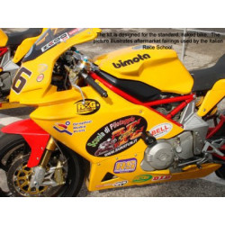 CRASHPADY AERO RG RACING...